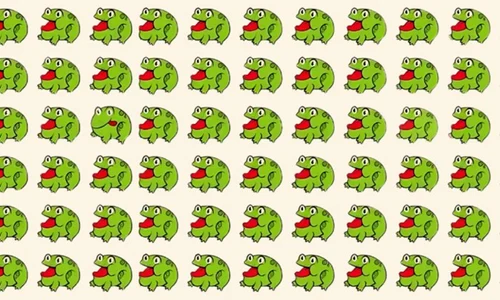 test jpg