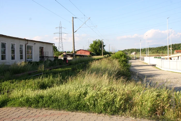 trecere la nivel cu calea ferata viisoara - accident 