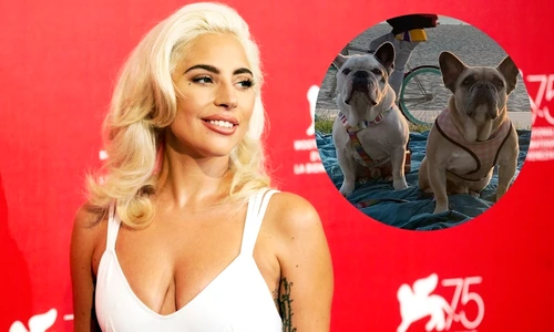 1 lady gaga jpg jpeg