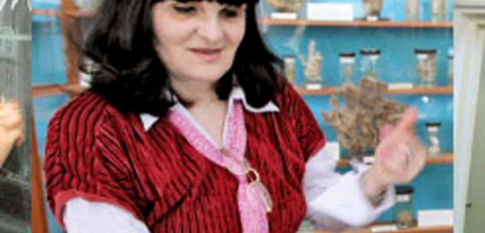 Profesor de liceu = muzeograf = farmacist
