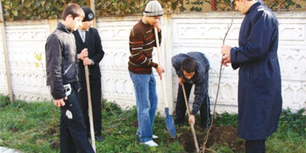 A început maratonul de plantat copaci