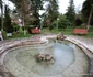 Geoagiu Băi Foto Daniel Guță ADEVĂRUL (2) JPG