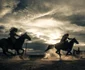 Lone Ranger 5