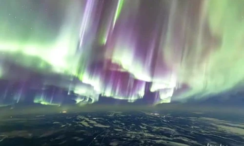 aurora 01 foto Matt Melnyk jpg