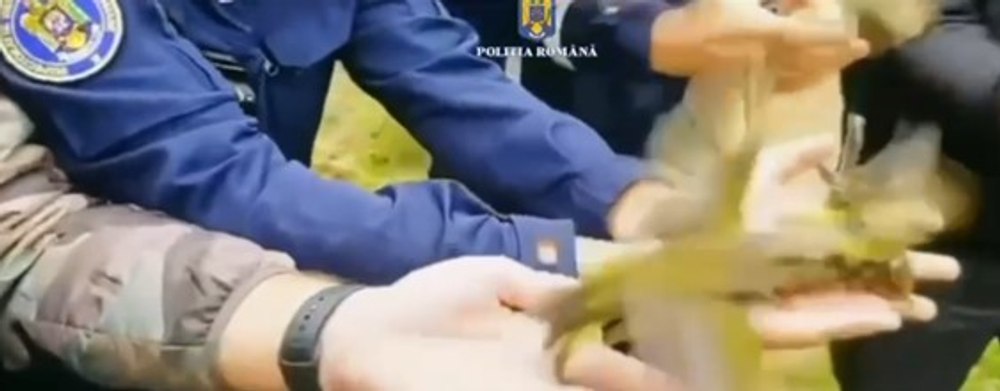 Zeci de păsări protejate de lege, ținute în captivitate pentru a fi vândute, eliberate de polițiști