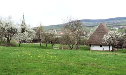 1 Mai la Muzeul Etnografic al Transilvaniei jpeg