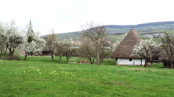 1 Mai la Muzeul Etnografic al Transilvaniei jpeg