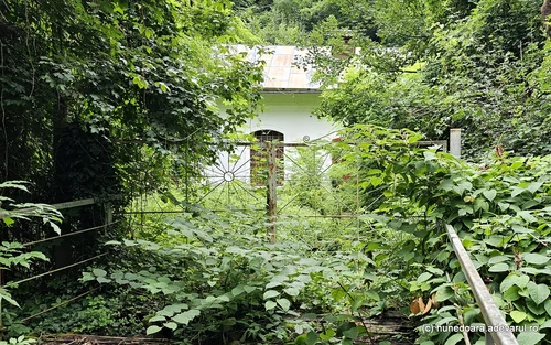 Hidrocentrala din Govajdia Foto Daniel Guță (4) jpg