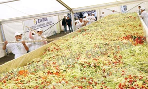 CLIIMA20120923 0063 1 jpeg