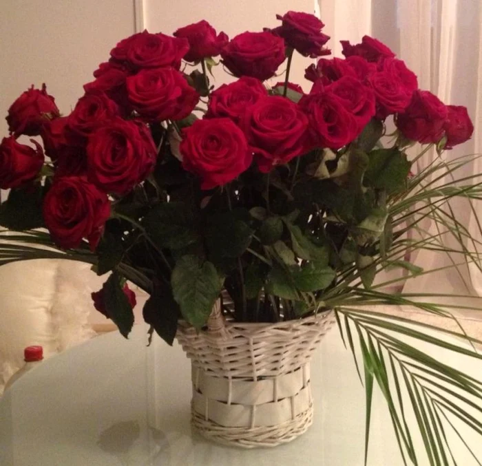 Raluca Macovei şi Florin Salam