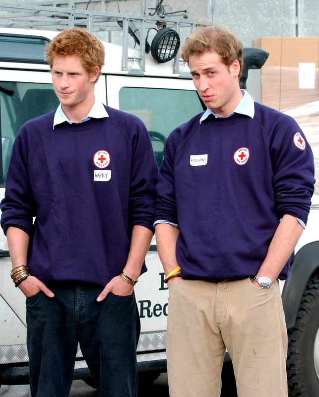 Prințul William și Prințul Harry