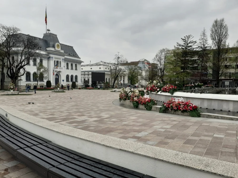 Fiindcă spaţiu verde n-a prea mai rămas în Piaţa
Primăriei Piteşti, gazonul pentru Simfonia Lalelelor a
fost pus pe pavele