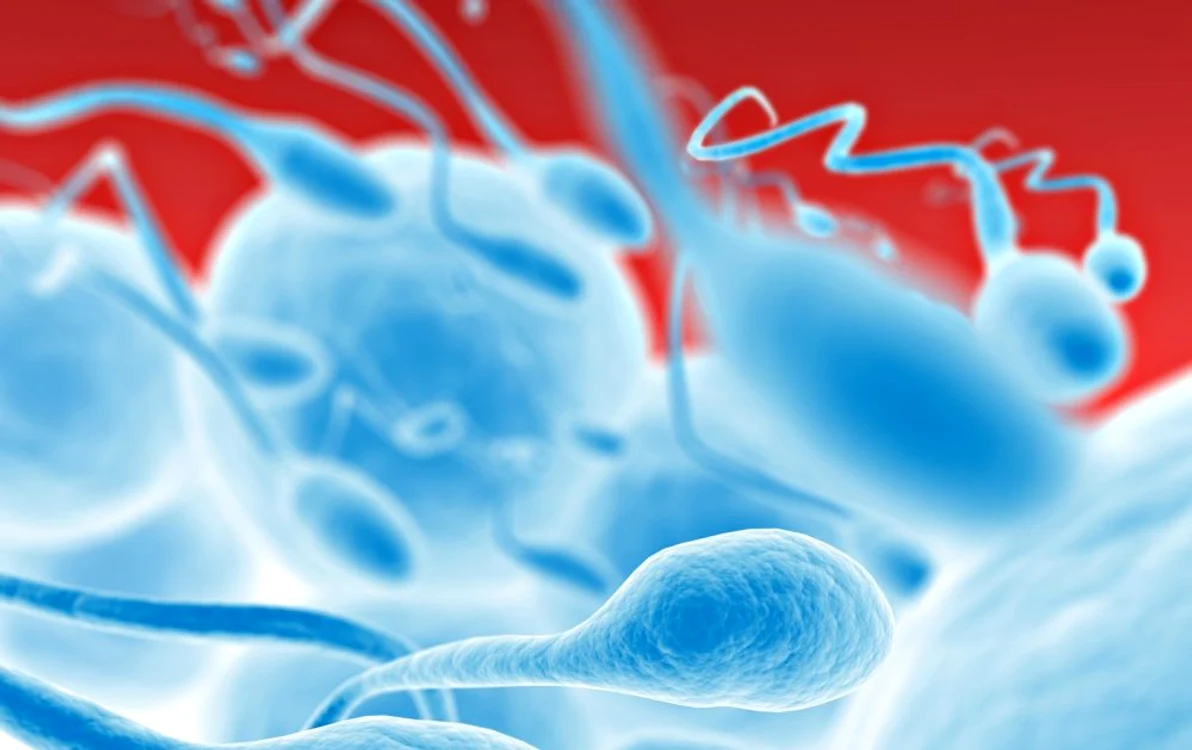 Un regim bogat în peşte, fructe şi legume proaspete şi cereale integrale îmbunătăţeşte calitatea spermatozoizilor