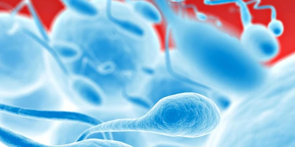 Un regim bogat în peşte, fructe şi legume proaspete şi cereale integrale îmbunătăţeşte calitatea spermatozoizilor