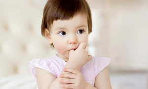 9 acasa shutterstock 257399398 jpeg