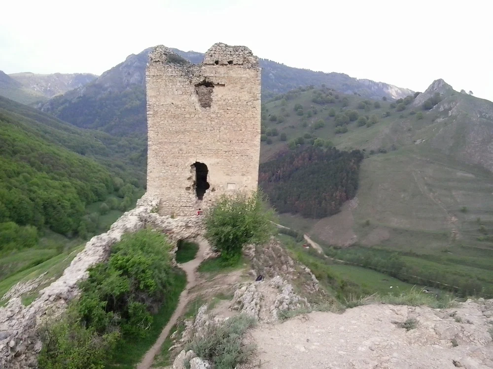 coltesti alba