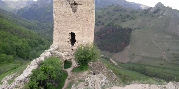 coltesti alba