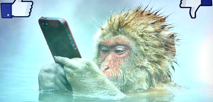 Dependenţa de Facebook n-are vârstă. FOTO Marsel von Oosten/500px