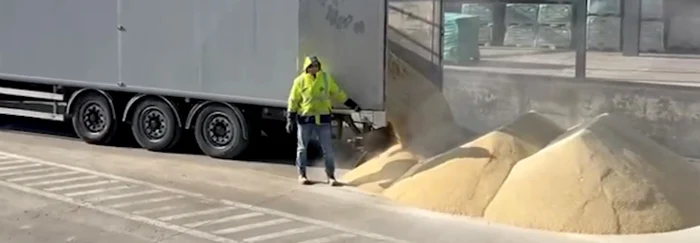 Descoperire uimitoare într-un camion cu furaje de soia / Foto: captură video Poliția de Frontieră