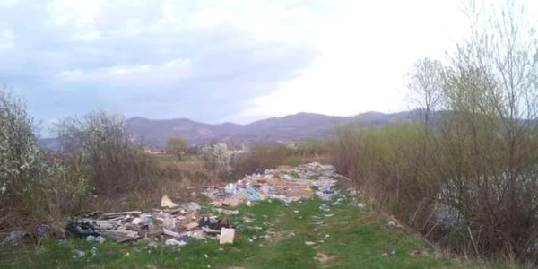 buzau