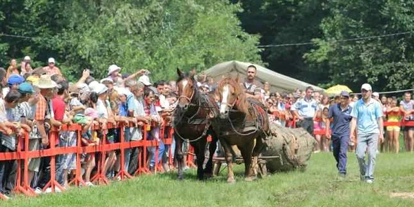 Festivalul ecvestru este una dintre atracţiile sărbătorii de la Râşnov