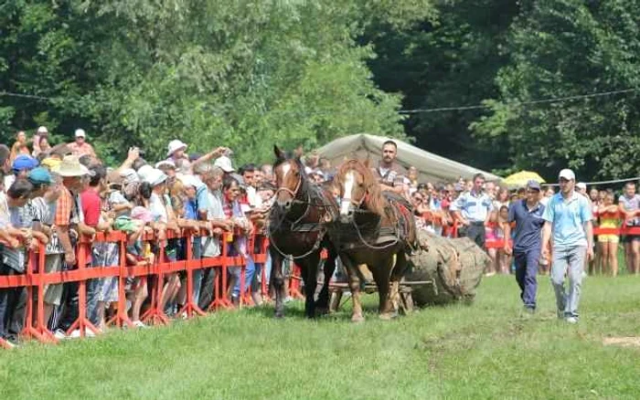 Festivalul ecvestru este una dintre atracţiile sărbătorii de la Râşnov. FOTOArhivă.