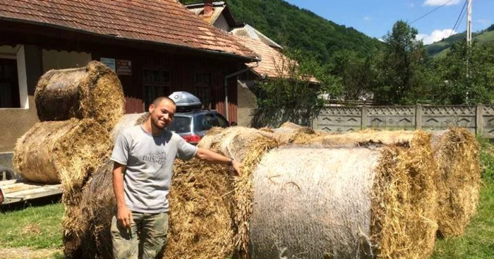 tanar bucuresti apuseni