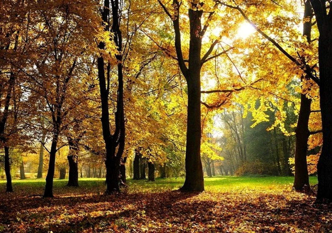 
    În următoarele două zile vor scădea temperaturileFoto: Click!  