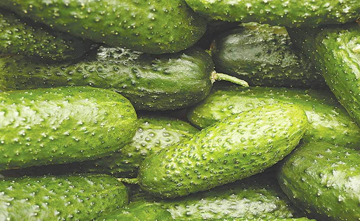 Castraveții sunt printre legumele extrem de bogate în antioxidanți