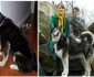 După ce a fost plimbată de la o familie la alta, Bella a găsit în sfârşit căminul de care avea nevoie  jpeg
