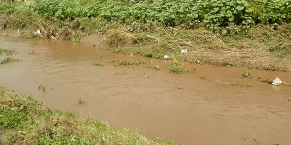 inundatii