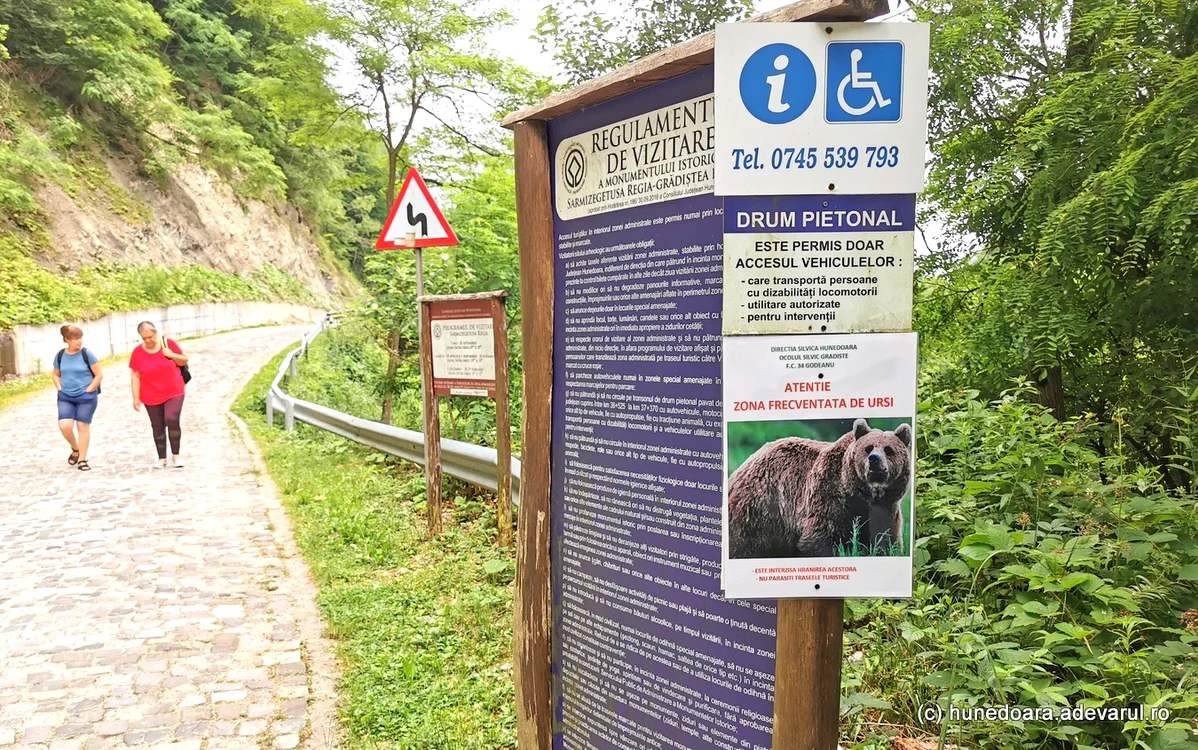 Prezența urșilor, semnalată la Sarmizegetusa Regia. Foto: Daniel Guță