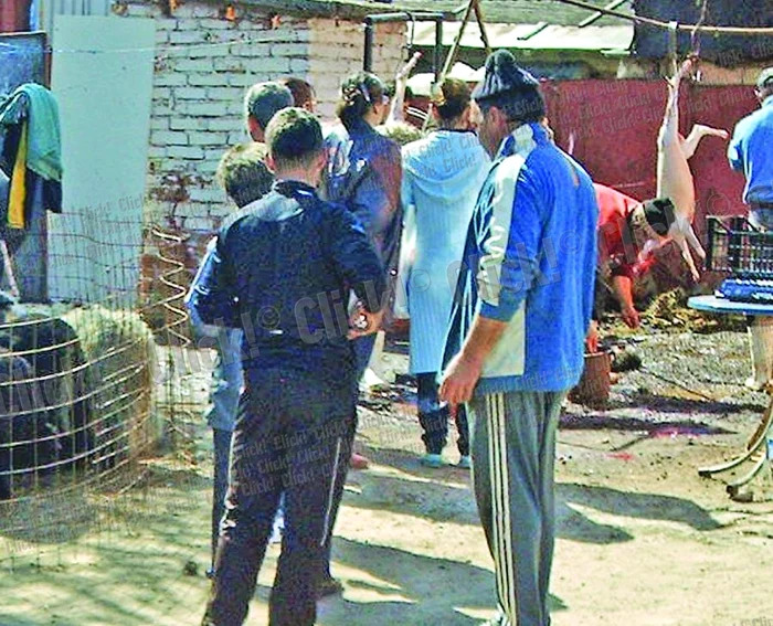 În curtea imobilului de pe Şos. Berceni s-au tăiat ieri zeci de miei (Foto: Dan L. Brumar)