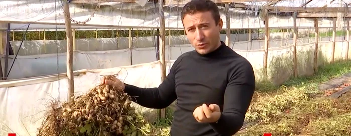 Alunele de pământ i-au adus succesul / foto: observatornews.ro