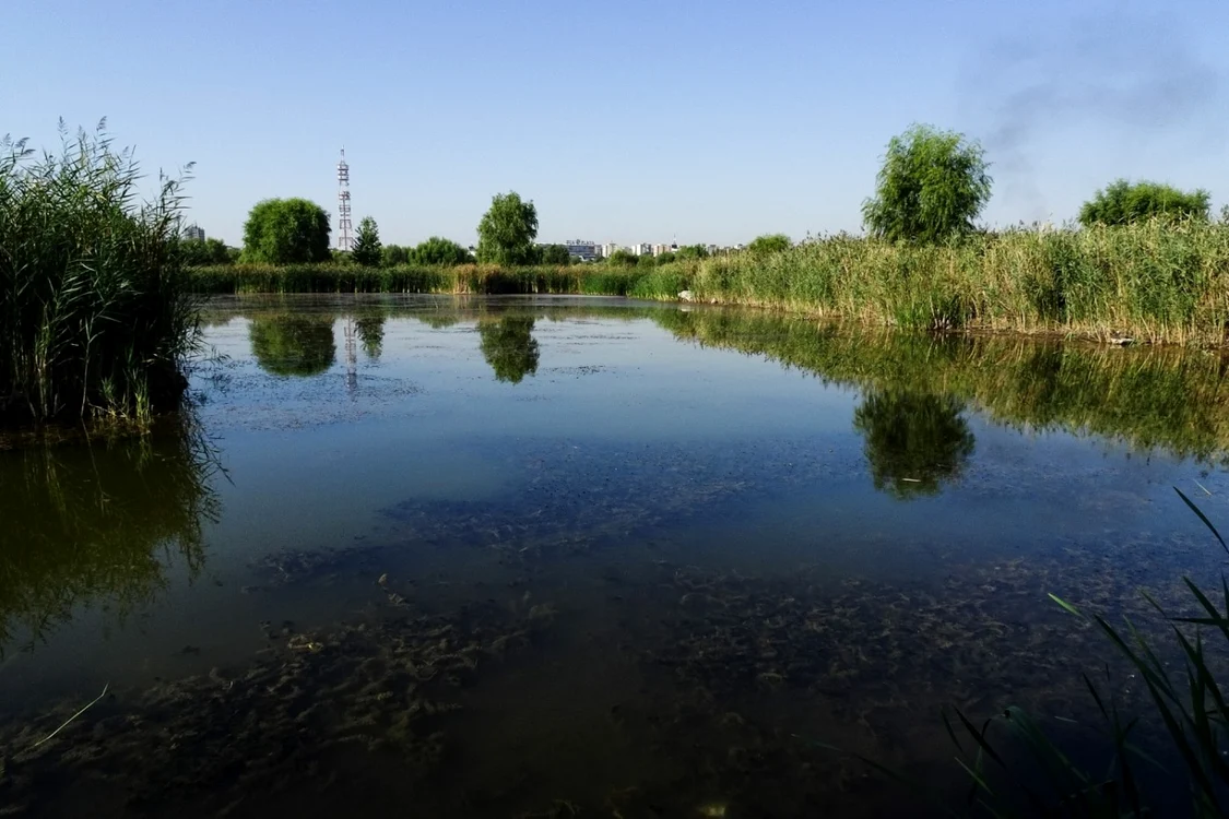 fotografii in parcul natural vacaresti foto razvan baltaretu/adevarul