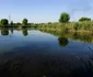 fotografii in parcul natural vacaresti foto razvan baltaretu/adevarul