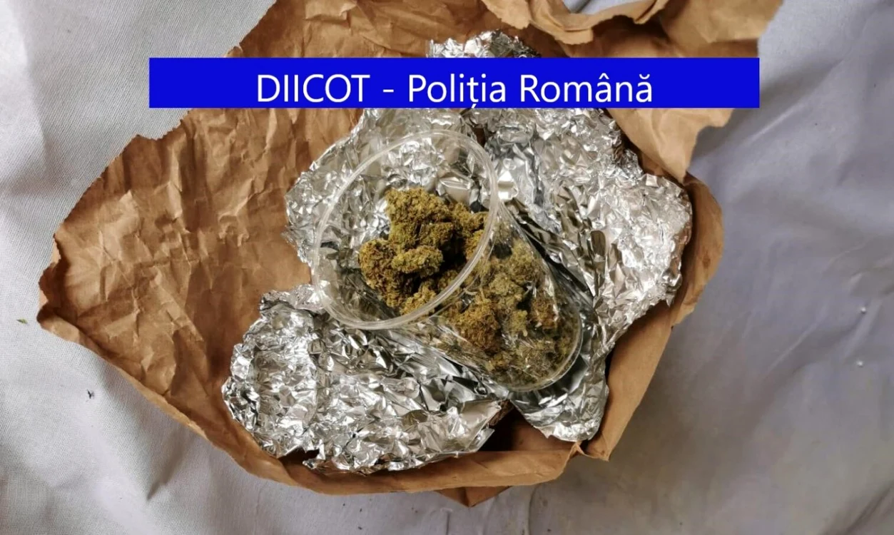 Drogurile confiscate valorau peste 100.000 de lei. FOTO DIICOT