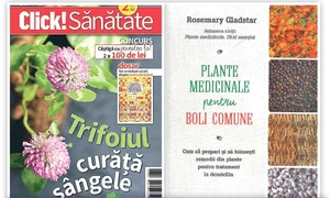 click sanatate112121221 jpeg