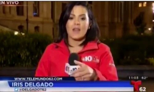 iris delgado jpeg