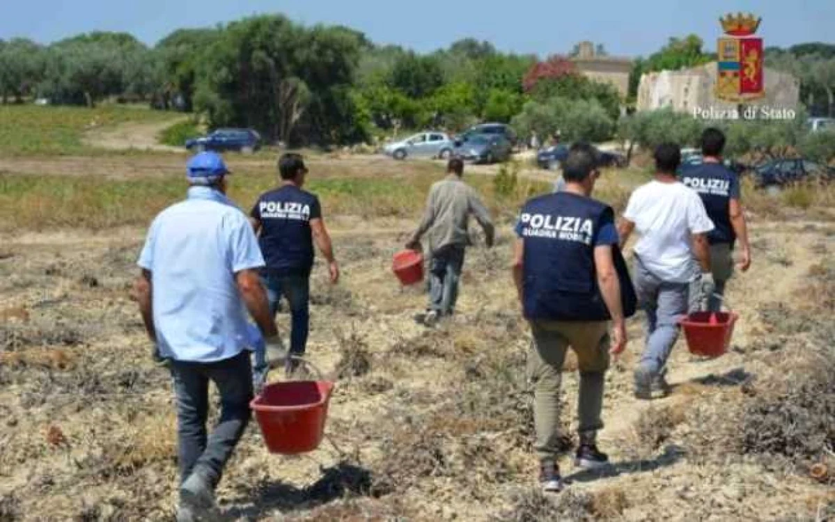 Românii au scăpat de sclavie în urma unor razii ale poliţiştilor la fermele din centrul şi sudul Italiei Foto:  Polizia Di Stato