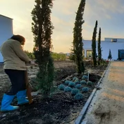 in decembrie 2023 complexul e aproape terminat 06 foto fundatia mihai nesu jpg