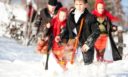 1 84495 original jpg jpeg