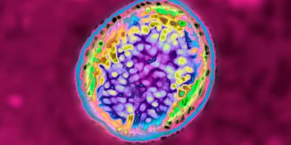 Bacterie FOTO CNN