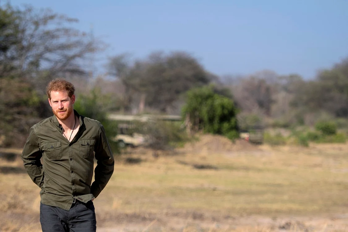 Prințul Harry în Botswana   profimedia 0573566618 jpg