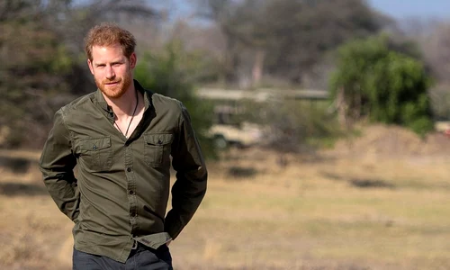 Prințul Harry în Botswana   profimedia 0573566618 jpg