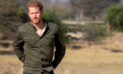 Prințul Harry în Botswana   profimedia 0573566618 jpg
