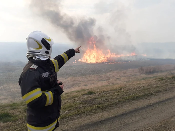 Pompierii găsesc multe animale de mici dimensiuni carbonizate în urma incendiilor    Foto: Arhivă Adevărul