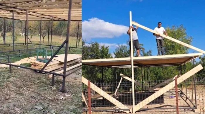 Țeapă uriașă pentru mai mulți români / foto: captură video Observator.ro