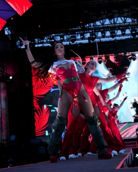 Stefania, pe scena de la Neversea. Sursă: Facebook