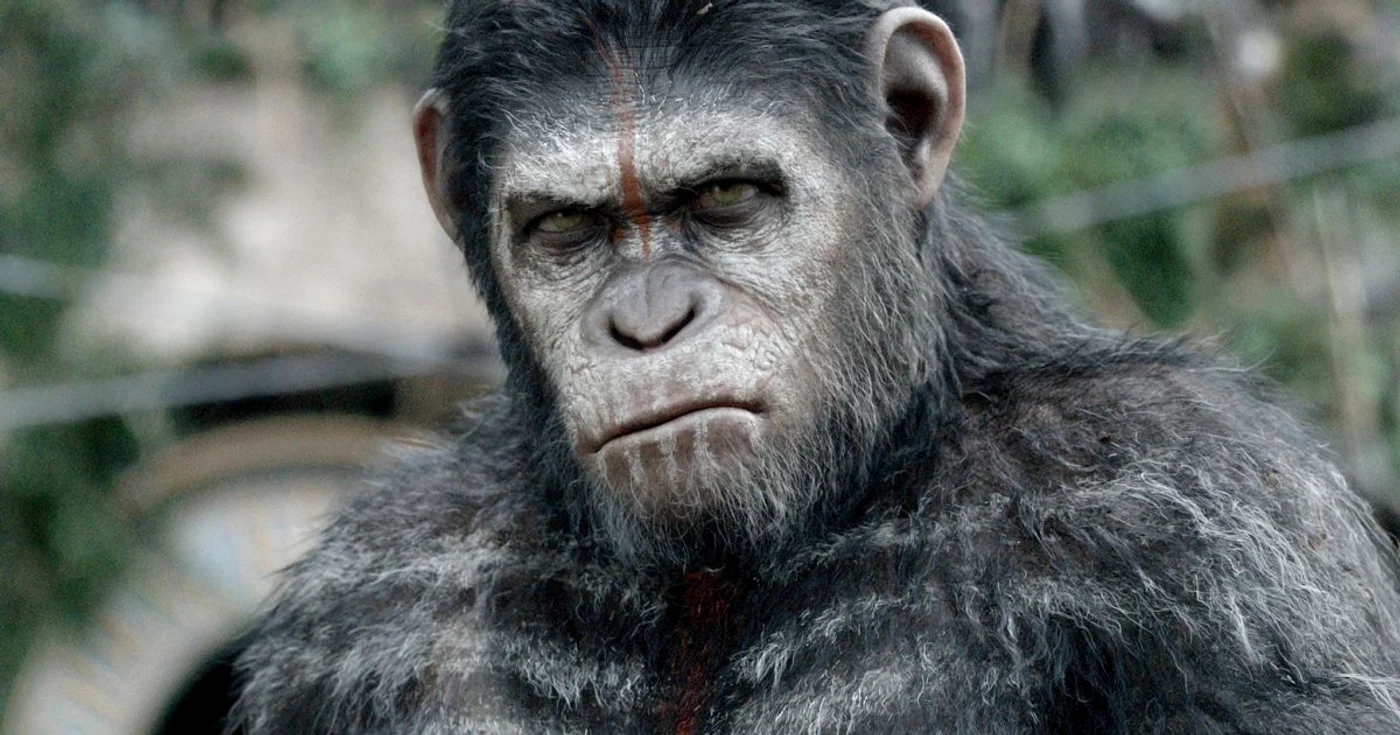 O
populaţie aflată în dezvoltare, maimuţele evoluate genetic,
conduse de Caesar, sunt ameninţate de un grup de oameni
supravieţuitori ai devastatorului virus care a făcut ravagii în
urmă cu zece ani, totul transformându-se într-un război pentru
supravieţuire FOTO cinemagia.ro